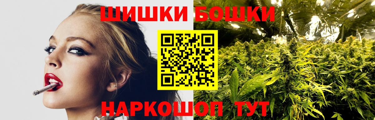 Каннабис планчик Сибай